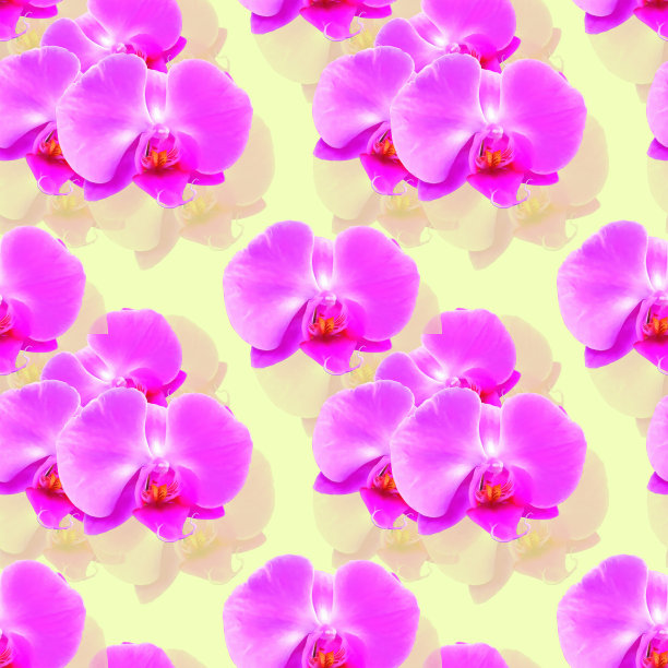 兰花。花型纹理无缝。花背景，照片拼贴图片下载