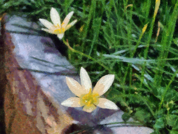 像莫奈的抽象花卉画图片下载