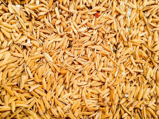 稻田皮图片下载