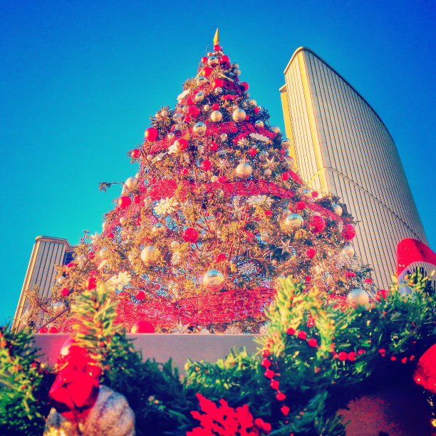 圣诞树图片下载