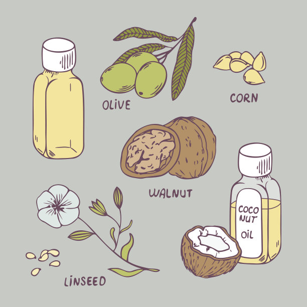 健康的油。椰子，核桃，橄榄，玉米和亚麻籽图片下载