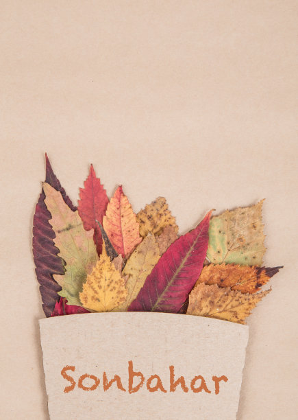 干叶子图片下载