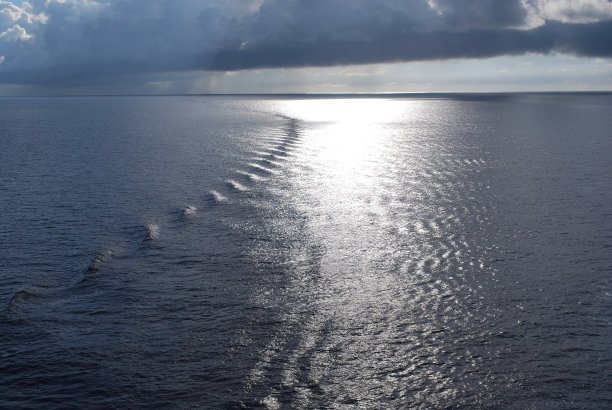 游轮之后图片下载