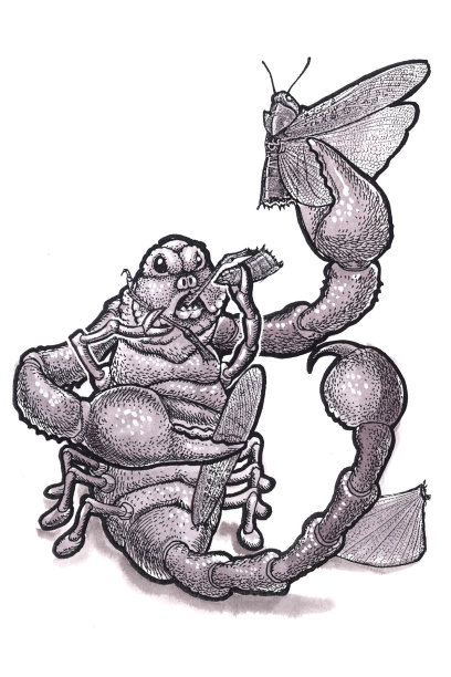 蝎子蚂蚱(卡通版)图片下载