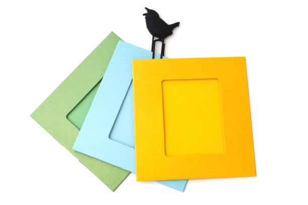 照片框架与剪辑孤立在一只白色的鸟图片下载