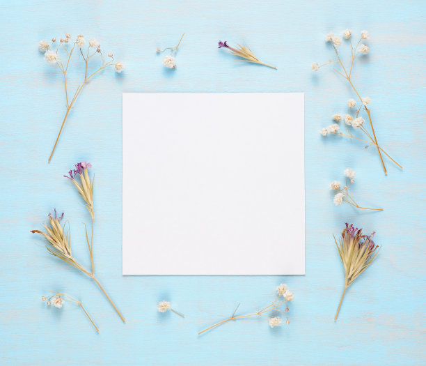 蓝色木质背景上的空白贺卡和干花图片下载