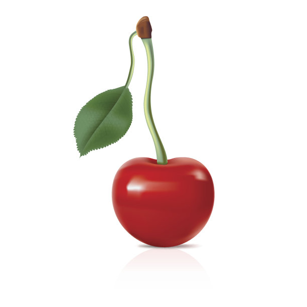 向量的樱桃图片下载