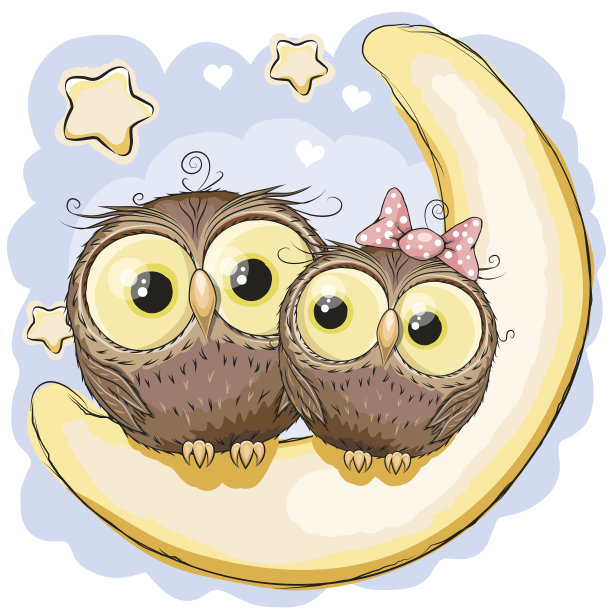 月亮上的两只猫头鹰图片下载