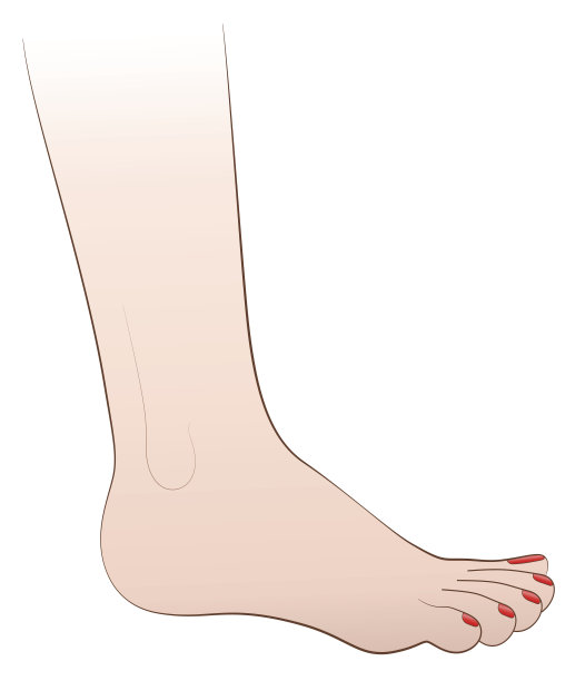 女性足部指甲油图片下载