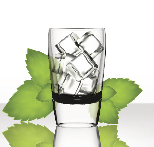 矢量杯加冰和薄荷图片下载