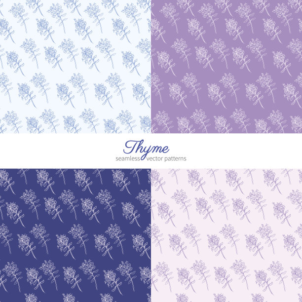 无缝矢量草药图案，手绘百里香枝与叶子素描孤立在颜色背景，治疗药草，植物插图，壁纸设计，纺织品，包装，有机食品图片下载