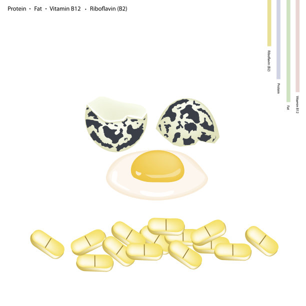 新鲜鹌鹑蛋含蛋白质，脂肪，维他命B12和B2图片下载