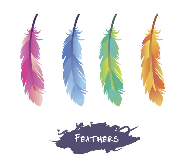 收集矢量彩色羽毛图片下载