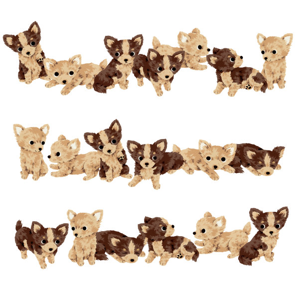 漂亮的狗图片下载