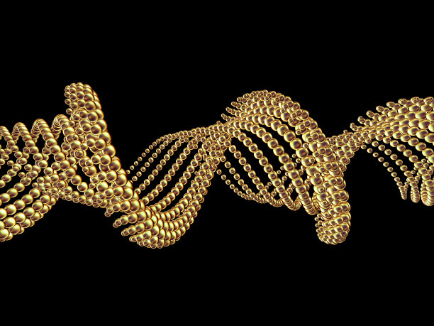 黄金螺旋图片下载