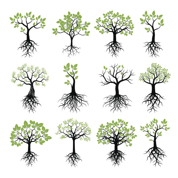 树木，绿色的叶子和根图片下载