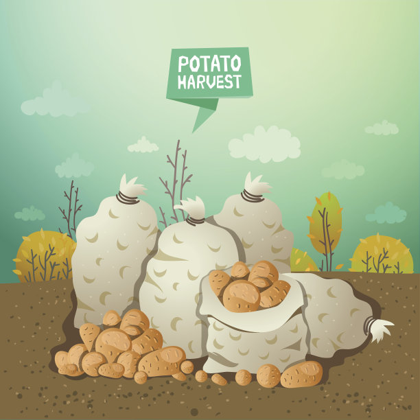 褐色的田野映衬着秋天里一袋袋的土豆图片下载