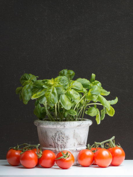 在黑色的黑板前放上新鲜的罗勒和西红柿图片下载