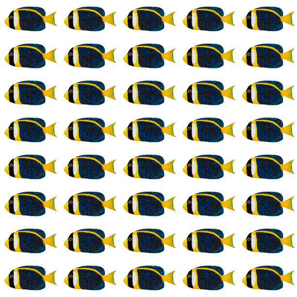 潦草神仙鱼模式图片下载