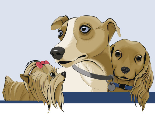 三只狗图片下载