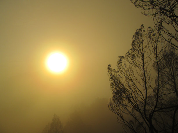 保持沉默图片下载
