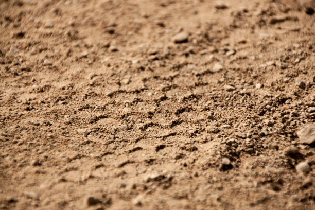 阳光明媚的日子，沙滩上车轮的痕迹图片下载
