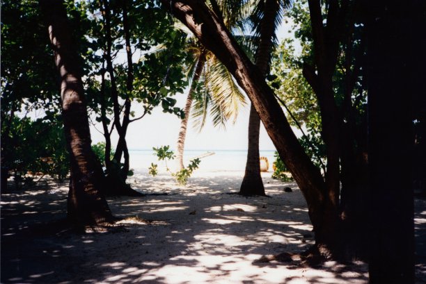 斯特兰德阿本德图片下载