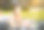 迷人的红发商务女性在户外用笔记本电脑工作图片下载