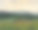 夏季景观，全景，高山，森林。油画图片下载