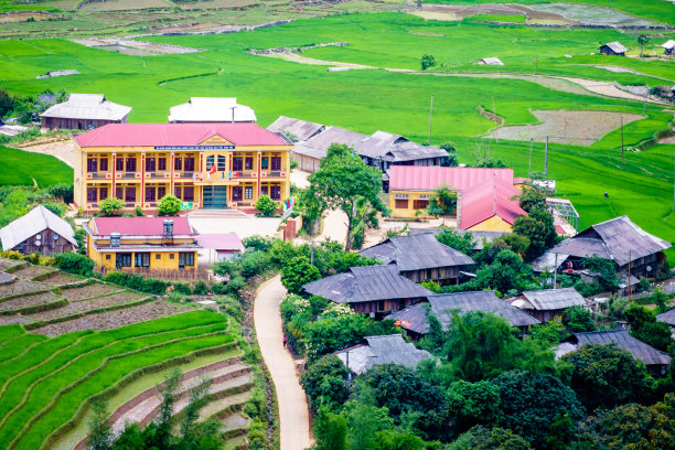 颜白的学校和稻田图片下载