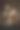 性感的男人图片下载