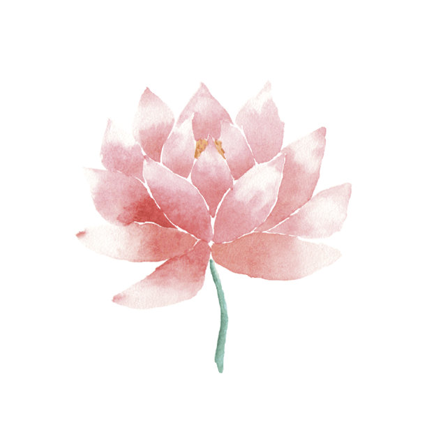 向量水彩荷花粉红色图片下载