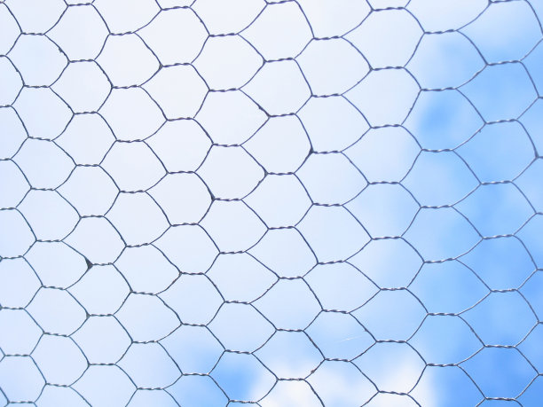 Gen -从铁丝网后面图片下载