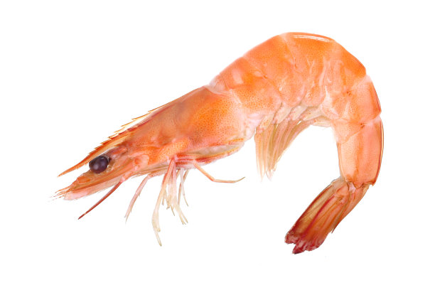 煮熟的虾图片下载