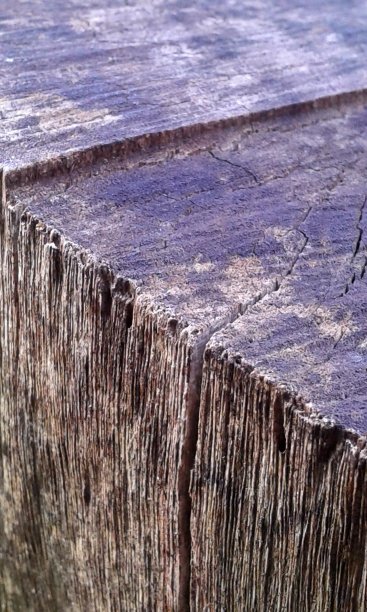 抽象的性质图片下载