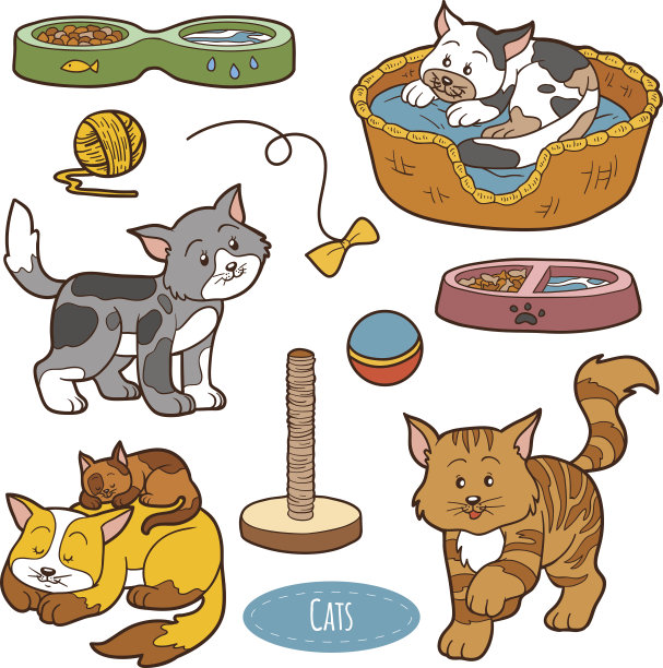 彩色套可爱的家畜和物体，向量猫图片下载