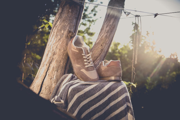 时髦的鞋子棕色麂皮鞋图片下载