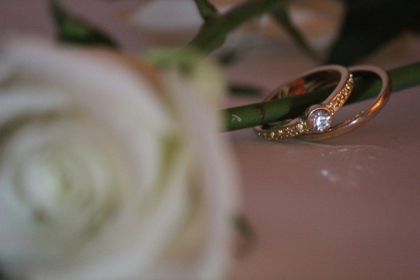 玫瑰茎上的订婚戒指图片下载