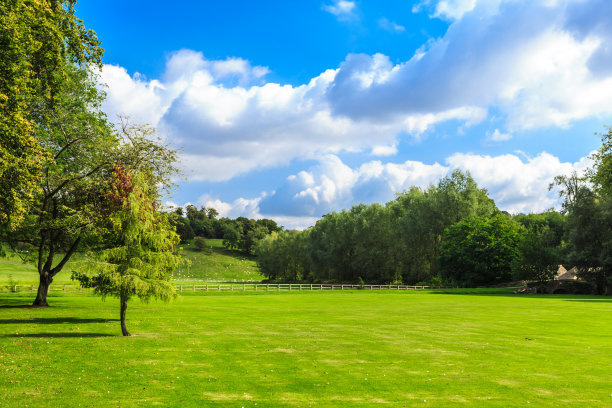 绿色田野的乡村景色。自然景观图片下载