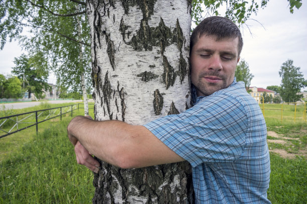 男人拥抱着桦树。图片下载