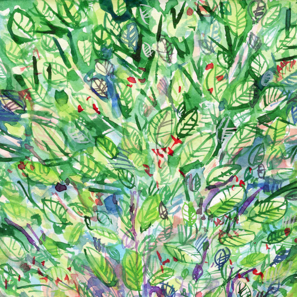 绿色的树叶和红色的浆果图片下载