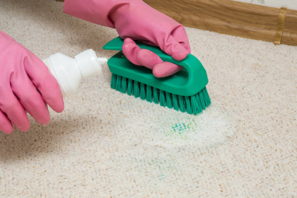 用专业刷子和特殊液体清洁绿色污渍。化学清洗地毯。早春大扫除或定期大扫除。图片下载
