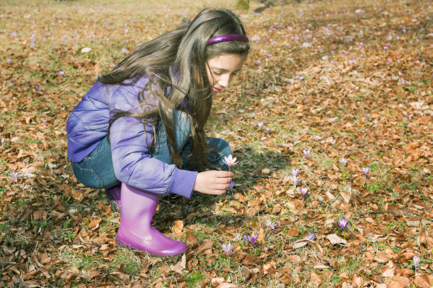 采番红花的小女孩图片下载