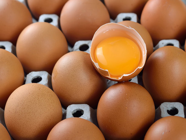 纸箱装鸡蛋图片下载