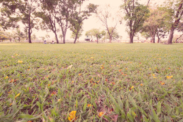 旧日公园图片下载