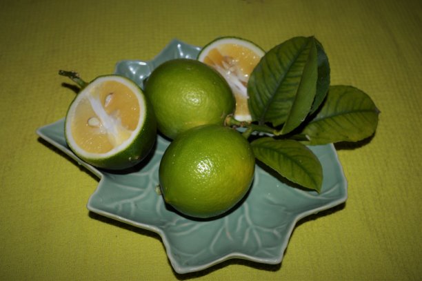 柑橘类水果图片下载