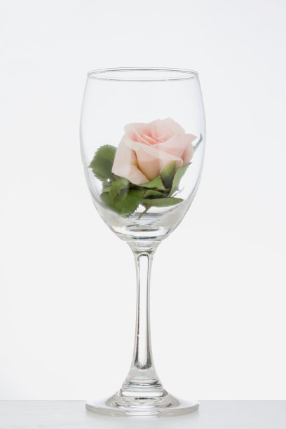 一杯粉红玫瑰图片下载