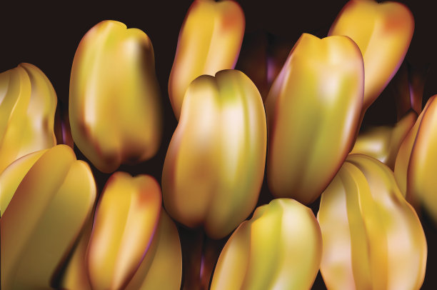 杨桃是泰国一种奇异的水果，呈星形图片下载