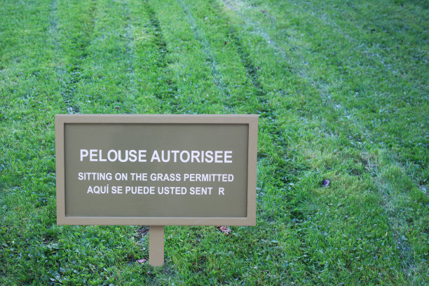 允许草坪-海报图片下载