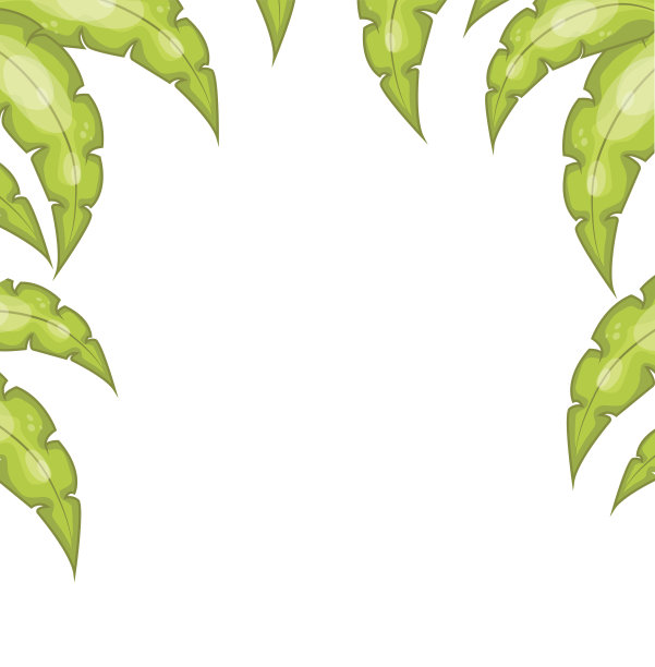 棕榈树的树枝图片下载